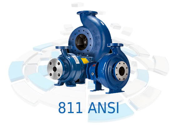 The 811 model is available in a wide range of sizes, capacities and materials to fit virtually any process-fluid application.