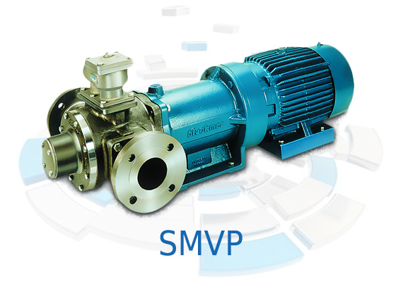 Blackmer has combined our proven sliding vane design with a seal-less magnetic coupling to meet the growing need for zero shaft leakage when handling expensive, hazardous or hard to seal fluids. Environmental concerns, workplace safety, EPA requirements, and local government agency regulations may may the Best Available Control Technology (BACT) for certain chemicals